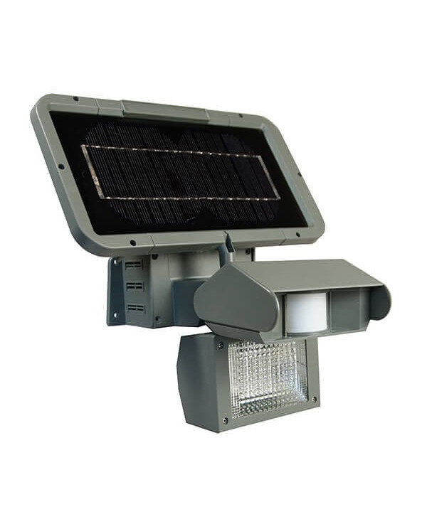 Solar security light with motion detector