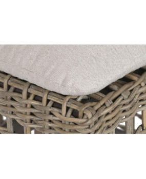 Mahogany and Woven Rattan Dining Chair - Dining chairs - Cactus Home Decor